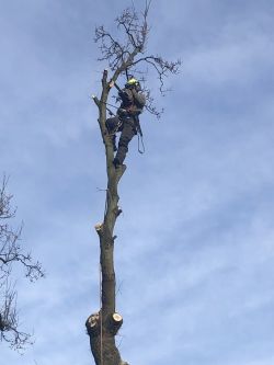 Self Employed Climbers