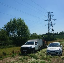 Vans - Powerlines: Click Here To View Larger Image